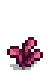 Amaranth Stage 3.png