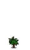 Apple Stage 1.png