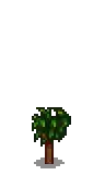 Apple Stage 2.png