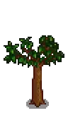Apple Stage 4.png