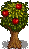 Apple Stage 5 Fruit.png