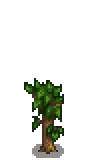 Apricot Stage 3.png