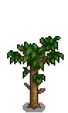 Apricot Stage 4.png