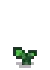Artichoke Stage 2.png