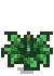 Artichoke Stage 4.png