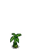 Banana Stage 1.png