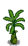 Banana Stage 4.png