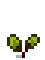 Beet Stage 3.png