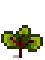 Beet Stage 4.png