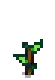 Blueberry Stage 3.png