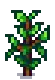 Blueberry Stage 5.png