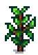 Blueberry Stage 7.png