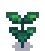 Broccoli Stage 3.png