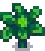 Broccoli Stage 4.png