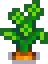 Carrot Stage 4.png