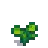 Cauliflower Stage 3.png