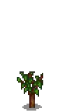 Cherry Stage 2.png