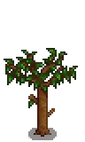 Cherry Stage 4.png