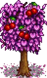 Cherry Stage 5 Fruit.png