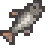 Chub.png