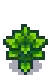 Coffee Stage 4.png
