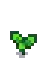 Eggplant Stage 2.png