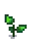 Eggplant Stage 3.png