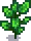 Eggplant Stage 7.png