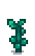Fairy Rose Stage 4.png