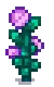 Fairy Rose Stage 5.png