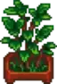 Fancy House Plant.png