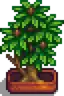 Fancy House Plant 2.png
