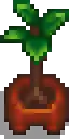Fancy House Plant 2 1.png
