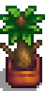 Fancy House Plant 2 2.png