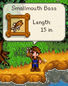 Fish Display.gif