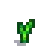 Garlic Stage 3.png