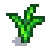 Garlic Stage 4.png