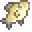 Ghostfish.png
