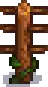 Grape Stage 1.png