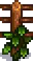 Grape Stage 2.png