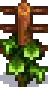 Grape Stage 3.png