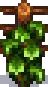 Grape Stage 4.png