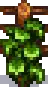 Grape Stage 5.png