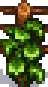 Grape Stage 7.png