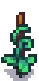 Green Bean Stage 5.png