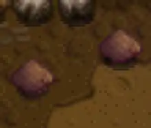 HiddenRockCrab.png