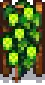 Hops Stage 7.png