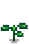 Hot Pepper Stage 3.png