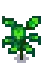 Hot Pepper Stage 4.png