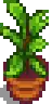 House Plant.png